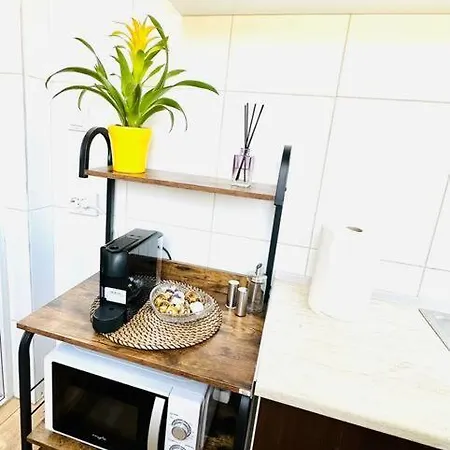 Apartment Cozy 1br Apartment•central•quiet Bucharest