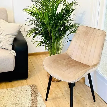Cozy 1br Apartment•central•quiet *